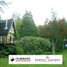 3 Bedroom House for rent in Futrono, Los Rios, Futrono