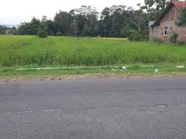  Terreno (Parcela) en venta en Seyegan, Yogyakarta, Seyegan