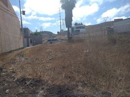  Grundstück zu verkaufen in Tijuana, Baja California, Tijuana, Baja California