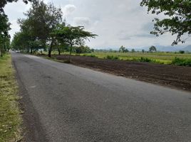  Land for sale in Prambanan, Klaten, Prambanan