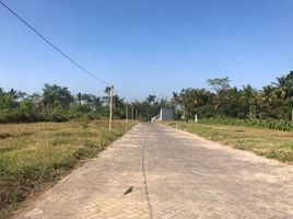  Land for sale in Malang Regency, East Jawa, Pakis, Malang Regency