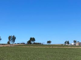  Grundstück zu verkaufen in Ensenada, Baja California, Ensenada