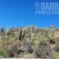  Land for sale in Chacabuco, Santiago, Colina, Chacabuco