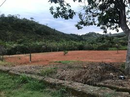  Terreno (Parcela) en venta en Jamundi, Valle Del Cauca, Jamundi