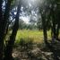  Land for sale in Allende, Nuevo Leon, Allende, Nuevo Leon