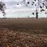  Terreno (Parcela) en venta en Maule, Linares, Linares, Maule
