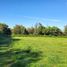  Terreno (Parcela) en venta en Biobío, Los Angeles, Biobío, Biobío