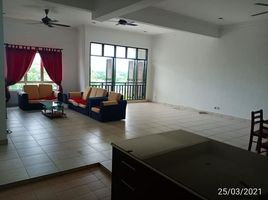 4 chambre Condominium for rent in Damansara, Petaling, Damansara