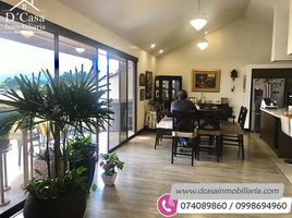 4 chambre Appartement for sale in Pastaza, Diez De Agosto, Pastaza, Pastaza