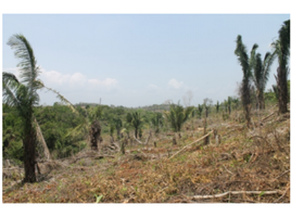  Terreno (Parcela) en venta en Chilibre, Ciudad de Panamá, Chilibre