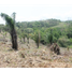  Terreno (Parcela) en venta en Chilibre, Ciudad de Panamá, Chilibre
