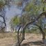  Land for sale in Silao, Guanajuato, Silao