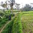  Land for sale in Tegallalang, Gianyar, Tegallalang