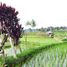  Land for sale in Tegallalang, Gianyar, Tegallalang