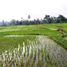  Land for sale in Tegallalang, Gianyar, Tegallalang