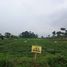  Land for sale in Sumedang, West Jawa, Cimalaka, Sumedang