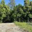  Terreno (Parcela) en venta en Cautín, Araucanía, Villarrica, Cautín