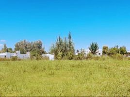  Land for sale in San Lorenzo, Santa Fe, San Lorenzo