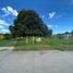  Land for sale in Jamapa, Veracruz, Jamapa