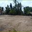  Land for sale in Prambanan, Klaten, Prambanan