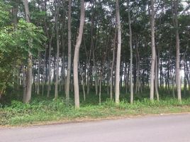  Land for sale in Giri, Banyuwangi, Giri