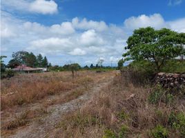  Land for sale in Alto Boquete, Boquete, Alto Boquete