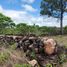  Land for sale in Alto Boquete, Boquete, Alto Boquete