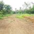  Land for sale in Cavite, Calabarzon, Alfonso, Cavite