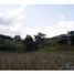 Terrain à vendre à Medellin, Antioquia, Medellin, Antioquia