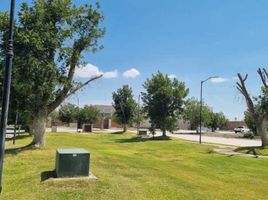  Terreno (Parcela) en venta en Torreon, Coahuila, Torreon