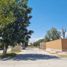  Terreno (Parcela) en venta en Torreon, Coahuila, Torreon