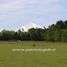  Terreno (Parcela) en venta en Araucanía, Villarrica, Cautín, Araucanía
