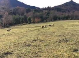  Land for sale in Araucania, Pucon, Cautin, Araucania
