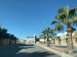  Land for sale in Torreon, Coahuila, Torreon