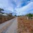  Land for sale in Alto Boquete, Boquete, Alto Boquete