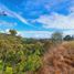  Land for sale in Alto Boquete, Chiriqui, Alto Boquete, Boquete