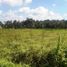  Land for sale in Ubud, Gianyar, Ubud