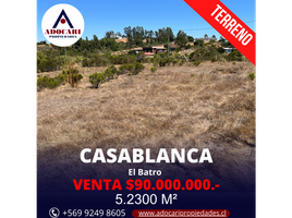  Terreno (Parcela) en venta en Valparaíso, Casa Blanca, Valparaíso, Valparaíso