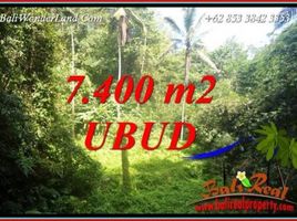  Terrain for sale in Tegallalang, Gianyar, Tegallalang