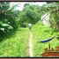  Terrain for sale in Tegallalang, Gianyar, Tegallalang
