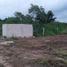  Land for sale in Abala, Yucatan, Abala
