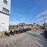  Land for rent in Villamar, Michoacan, Villamar, Michoacan