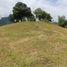  Land for sale in Cebu Central Visayas, Cebu City, Cebu, Central Visayas, Philippines
