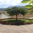  Land for sale in Cebu Central Visayas, Cebu City, Cebu, Central Visayas, Philippines