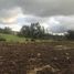  Terreno (Parcela) en venta en Sesquile, Cundinamarca, Sesquile