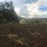  Terrain for sale in Sesquile, Cundinamarca, Sesquile