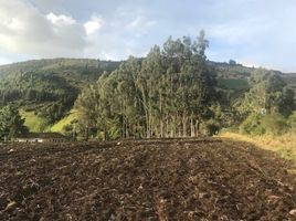  Terreno (Parcela) en venta en Sesquile, Cundinamarca, Sesquile