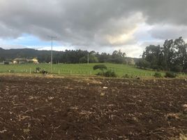  Grundstück zu verkaufen in Sesquile, Cundinamarca, Sesquile