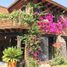 7 Bedroom House for sale in Tequisquiapan, Queretaro, Tequisquiapan, Queretaro