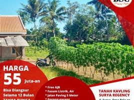  Land for sale in Malang Regency, East Jawa, Kepanjen, Malang Regency